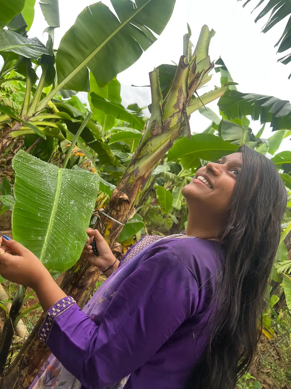 “Amazing Benefits of Growing a Banana Plant in Your Backyard”